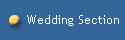 Wedding Section